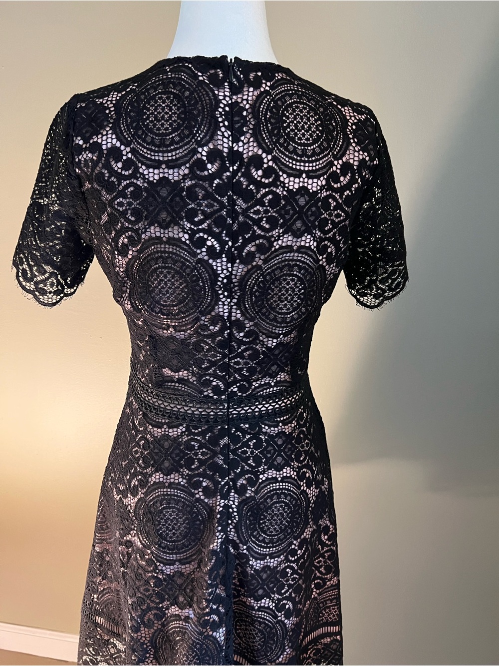 BB Dakota Black‎ Lace Short Sleeve Fit & Flare Mini Dress - Picture 5 of 5